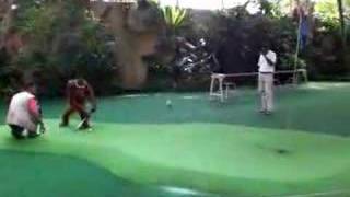 Orangutan Amazing Golf Putting [upl. by Casady]