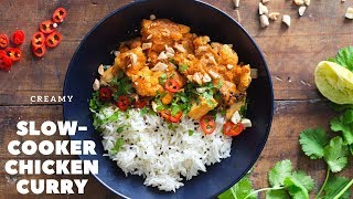 Slow Cooker Chicken Curry [upl. by Melony623]