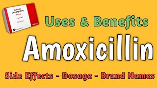 Amoxicillin 💊  Amoxicillin 500mg capsule uses  Benefits of Amoxicillin  Amoxicillin Clavulanate [upl. by Knitter166]