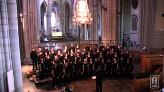 Augustana Choir  Shenandoah [upl. by Celine]