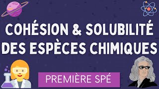 Cohésion et Solubilité des espèces chimiques  Première Spécialité Physique Chimie [upl. by Vasileior]