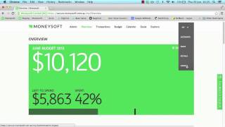 Moneysoft Financial Overview Screen [upl. by Raymond]