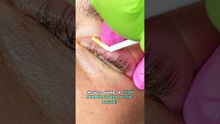 Lash Lift free tips beautiful beauty youtubeshorts lashes [upl. by Mcdermott464]