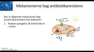 Antibiotika og antibiotikaresistens [upl. by Manvel305]