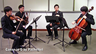 Canon in D by Pachelbel Vetta Quartet from Singapore [upl. by Jopa]