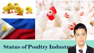 POULTRY 1  Status pf Poultry Industry in the Philippines  Module 2 [upl. by Benedetto788]