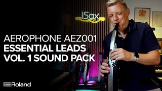 Roland Aerophone AEZ001 Essential Leads Vol 1 Sound Examples [upl. by Ashelman]