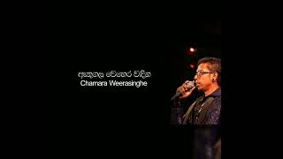 Athugala Wehera Wadina  ඇතුගල වෙහෙර වඳින  Chamara Weerasinghe  චාමර වීරසිංහ [upl. by Llywellyn]