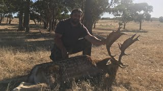 Fallow Deer Hunting South Australia [upl. by Lehcyar]