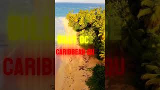 Billy Ocean  Caribbean Queen lyrics music caribbeanqueen [upl. by Ainevuol26]