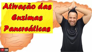 Ativação das Enzimas Pancreáticas  Tripsina Quimotripsina e Carboxipolipeptidase  Digestão [upl. by Aronal858]