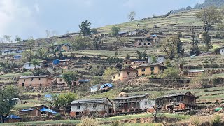 Visiting Beautiful Nepali Mountain Village  Rural Village Life in Barekot  IamSuman [upl. by Ellehcram932]