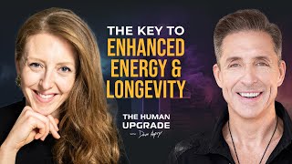 Good Energy Transformative Metabolic Health Tips with Dr Casey Means  1167  Dave Asprey [upl. by Iona]