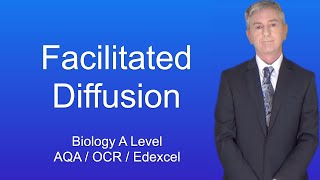 A Level Biology Revision quotFacilitated Diffusionquot [upl. by Wachtel832]