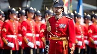 Band met Garderegiment Fuseliers Prinses Irene is voor het leven [upl. by Ssenav444]