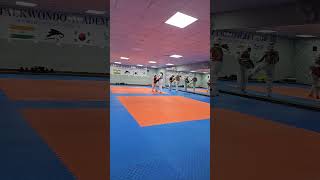 Taekwondo Sparring practice [upl. by Hadden]