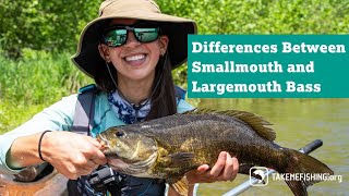 Differences Between Smallmouth and Largemouth Bass [upl. by Priebe347]