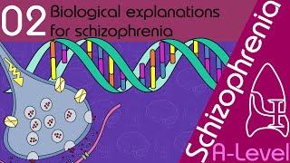 Biological Explanations for Schizophrenia AQA ALevel [upl. by Salinas]