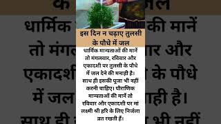 इन दिन भूलकर भी न करें तुलसी की पूजा वरना नाराज हो सकती हैं मां लक्ष्मी tulsi youtube ytshorts [upl. by Inoliel415]