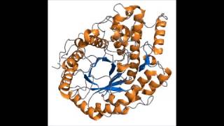 Amylase  Dictionnaire français audio [upl. by Emylee]