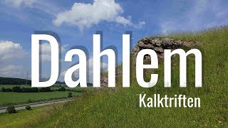 Nächste Ausfahrt Dahlem Eifel  Begegnung mit den Kalktriften [upl. by Bently]