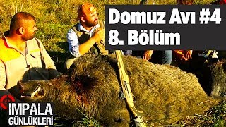 Domuz Avı 4 impala Günlükleri 8 Bölüm Yaban Tv [upl. by Goddard]