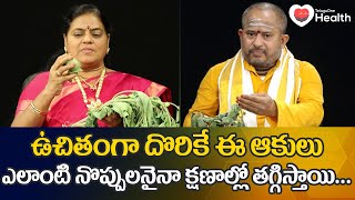 Datura Patram  ఎలాంటి నొప్పులనైనా క్షణాల్లో తగ్గిస్తాయి Dr Poorna Rajeshwari  TeluguOne Health [upl. by Buck926]