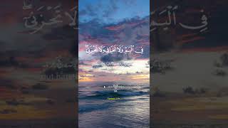 Surah Al Kasas Ayat 7 ✨ shorts ytshorts explore exploreislam [upl. by Jerold]