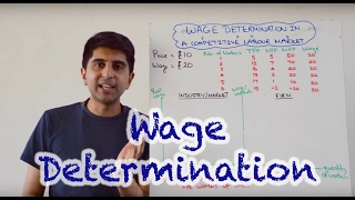 Wage Determination in a Perfectly Competitive Labour Market [upl. by Epotimet]