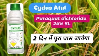 Cydus Herbicide Atul Paraquat dichloride 24 SL [upl. by Marketa570]