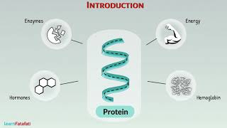 Heredity and Evolution  Transcription Translation and Translocation [upl. by Nivrac]