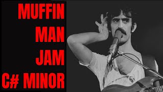 Frank Zappa Style Rock Jam Guitar Backing Track C Minor [upl. by Ibrab387]