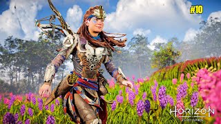 Finally Meeting Hades  Horizon Zero Dawn Gameplay 10 [upl. by Gloriane838]