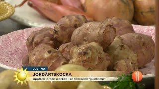 Så lagar du riktigt gott med jordärtskockan som bas  Nyhetsmorgon TV4 [upl. by Rayburn596]