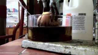 Cheeseburger in Hydrochloric Acid reaction only [upl. by Virgel]