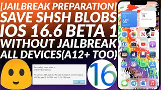 Save SHSH blobs for iOS 166 beta 1 for future downgradeupgrade for upcoming Jailbreak  Easy Guide [upl. by Oneg670]