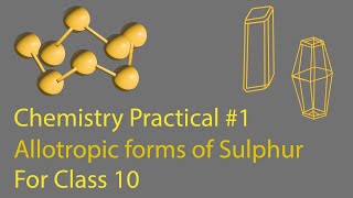 Chemistry Practical 1  Class X  New Book  Allotropic forms of Sulphur  Online SFS [upl. by Alema333]