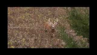 Mathews Bows Tv Commercial Kill Shot [upl. by Asinet]