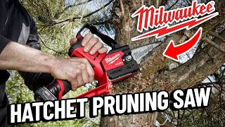 Secret Weapon for Pruning Crape Myrtles and Other Trees  Milwaukee Pruning Saw Review [upl. by Oloapnaig500]