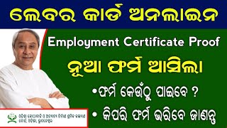 LABOUR CARD NEW EMPLOYEMENT CERTIFICATE PROOF FORM  HOW TO FILL UP  EMPLOYEMENT PROOF FILLUP [upl. by Iormina]