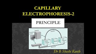 Capillary Electrophoresis2Principle [upl. by Bullen]