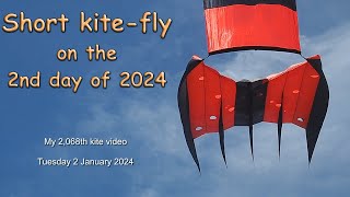 Short kitefly on the second day of 2024 with Hula Girl and more [upl. by Kitchen480]