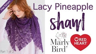 How to Crochet Lacy Pineapple Shawl Part 1 of 2 [upl. by Haraz229]