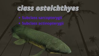 Class Osteichthyes sub class sarcopterygii and subclass actinopterygii [upl. by Eliason661]