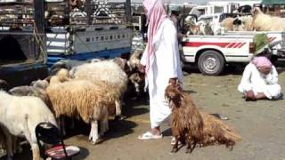 Arabie saoudite préparatifs pour la fête de lAïd [upl. by Agler389]