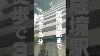 【絶景バルコニー】武蔵境駅近くの優良物件のご紹介🔥shorts 武蔵境 お部屋さがし 引っ越し 物件紹介 内見 ルームツアー 不動産 同棲 カップル 一人暮らし [upl. by Attah428]