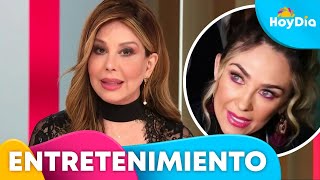 Myrka Dellanos defiende a Luis Miguel ante declaraciones de Aracely Arámbula  Hoy Día  Telemundo [upl. by Gwenore]