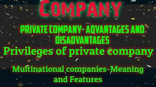 CompanyPrivate CompanyAdvantages and disadvantagesPrivilegesMultinational companies [upl. by Aksel652]