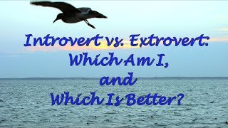 Introvert vs Extrovert Which Am I and Which Is Better [upl. by Annoj]