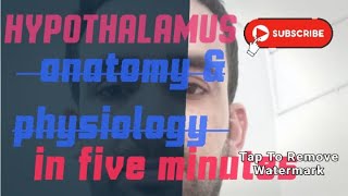 Hypothalamus Anatomy and Physiologyhormones in HindiURDU [upl. by Noxaj]